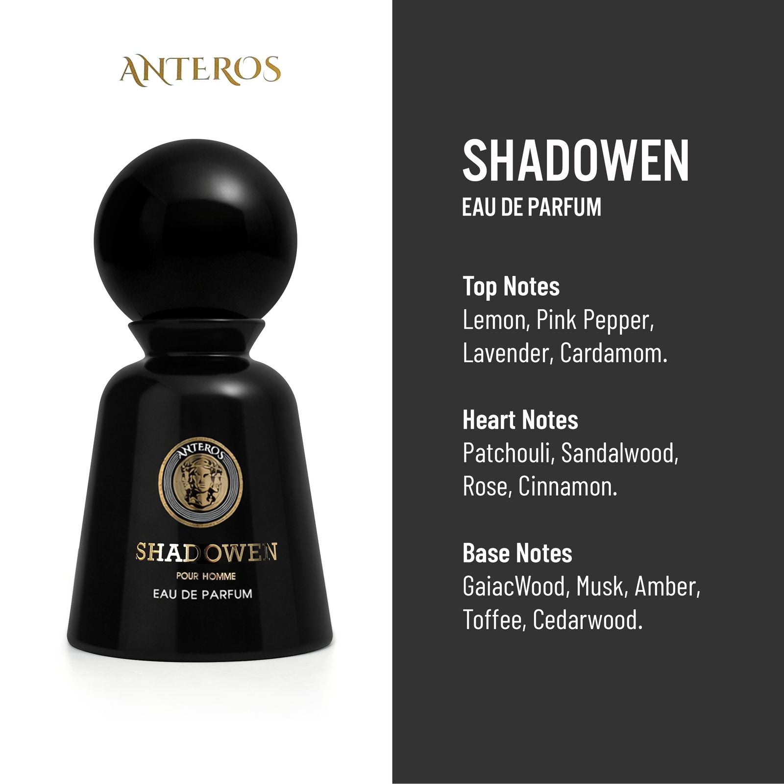 SHADOWEN BY LIMITED EDITION