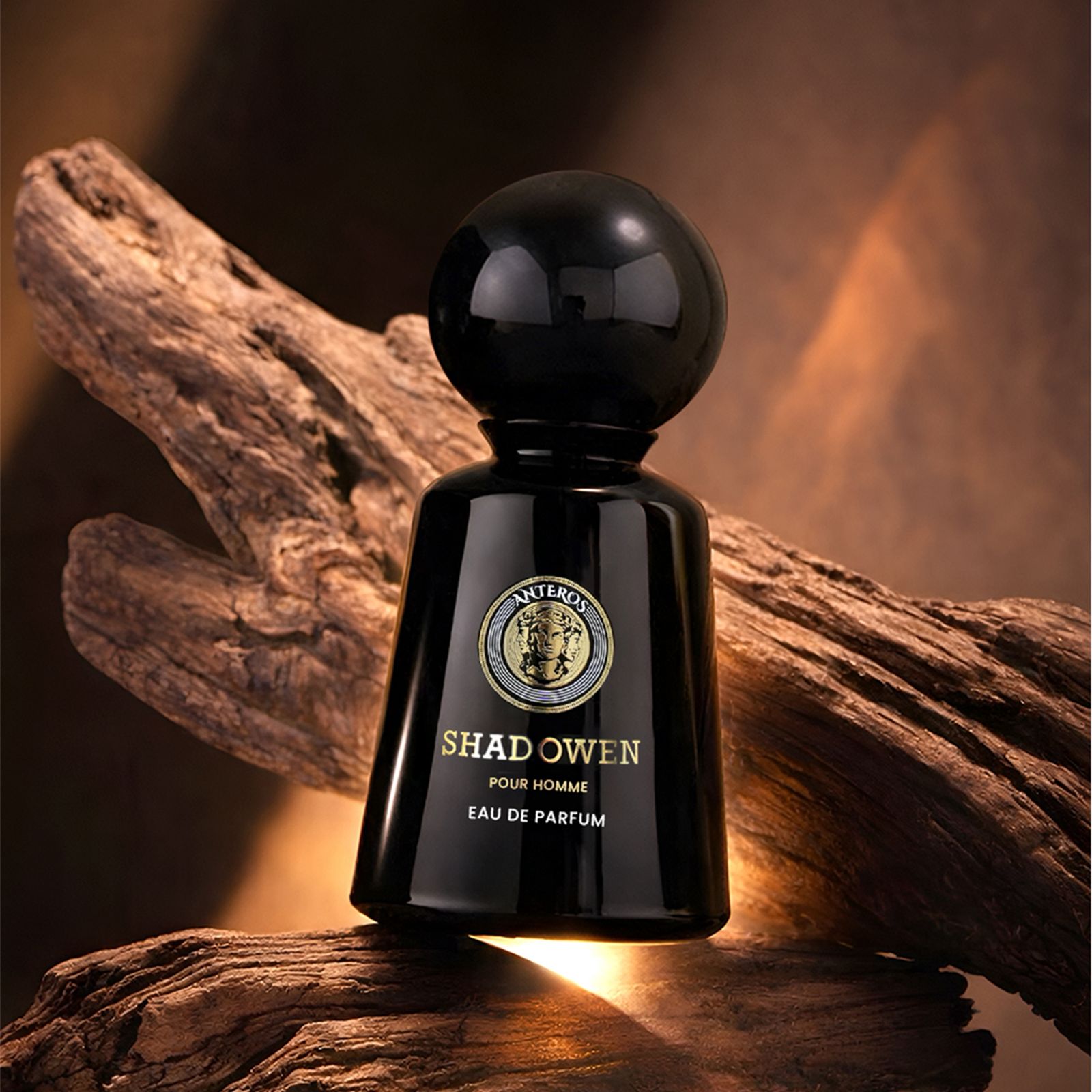 SHADOWEN BY LIMITED EDITION